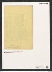 Cyclostella sp. (de-Toni-Nr.: Genus 216) Zeichnungen Sammlung Grunow (NHMW-BOT-W0379198)